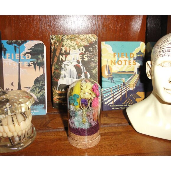 Flower Mantis Crystal & Flowers Oddity Jar insect taxidermy curiosity dome goth - Picture 9 of 13